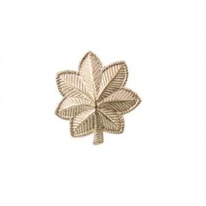 Rank, USA, Polished Gold, O4/MAJ