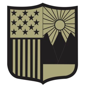 Patch, New York Guard, OCP