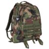 Pack, Large Transport - Image 3