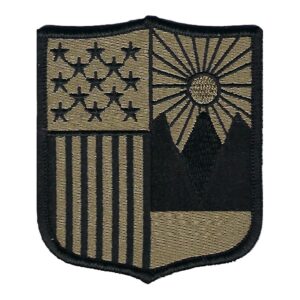 Patch, New York Guard, OCP