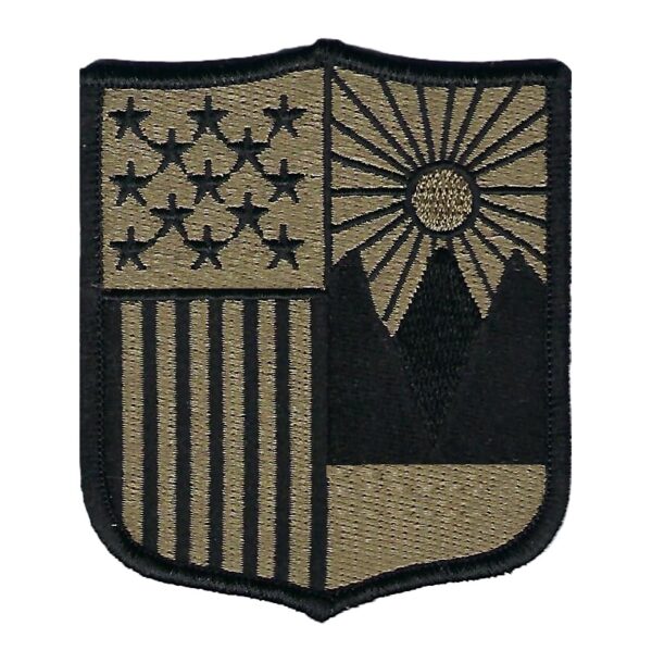 Patch, New York Guard, OCP