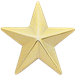 Rank, One Star, Finish: Gold, Single Rank  3/4"