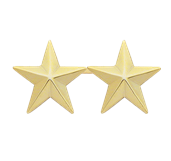 Rank, Two Star, Finish: Gold, Single Rank  3/4"
