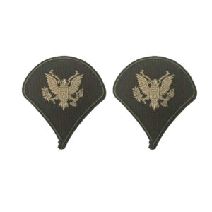 Patch, USA Rank, AGSU, E4/SPC (Set of 2) / Large