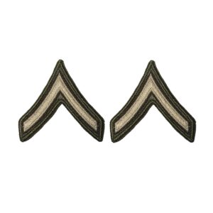 Patch, USA Rank, AGSU, E2/PV2 (Set of 2) / Large
