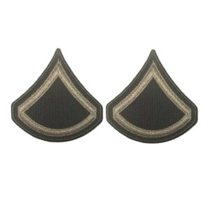 Patch, USA Rank, AGSU, E3/PFC (Set of 2) / Large