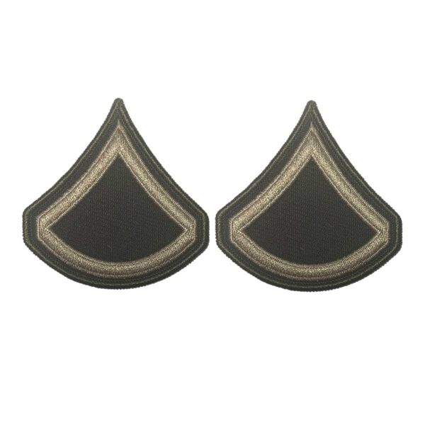 Patch, USA Rank, AGSU, E3/PFC (Set of 2) / Large