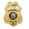 Badge, S222A, NYSM Center Seal (Updating) - Image 2