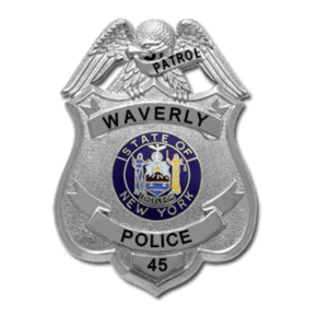 Badge, S222A, NYSM Center Seal (Updating)