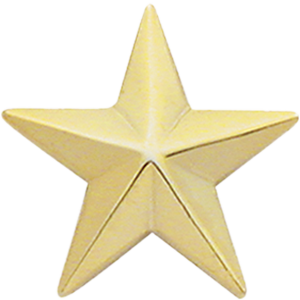 Rank, One Star, Finish: Gold, Single Rank 3/4"