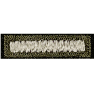 Patch, Overseas Bar, AGSU, Embroidered on Green - Male